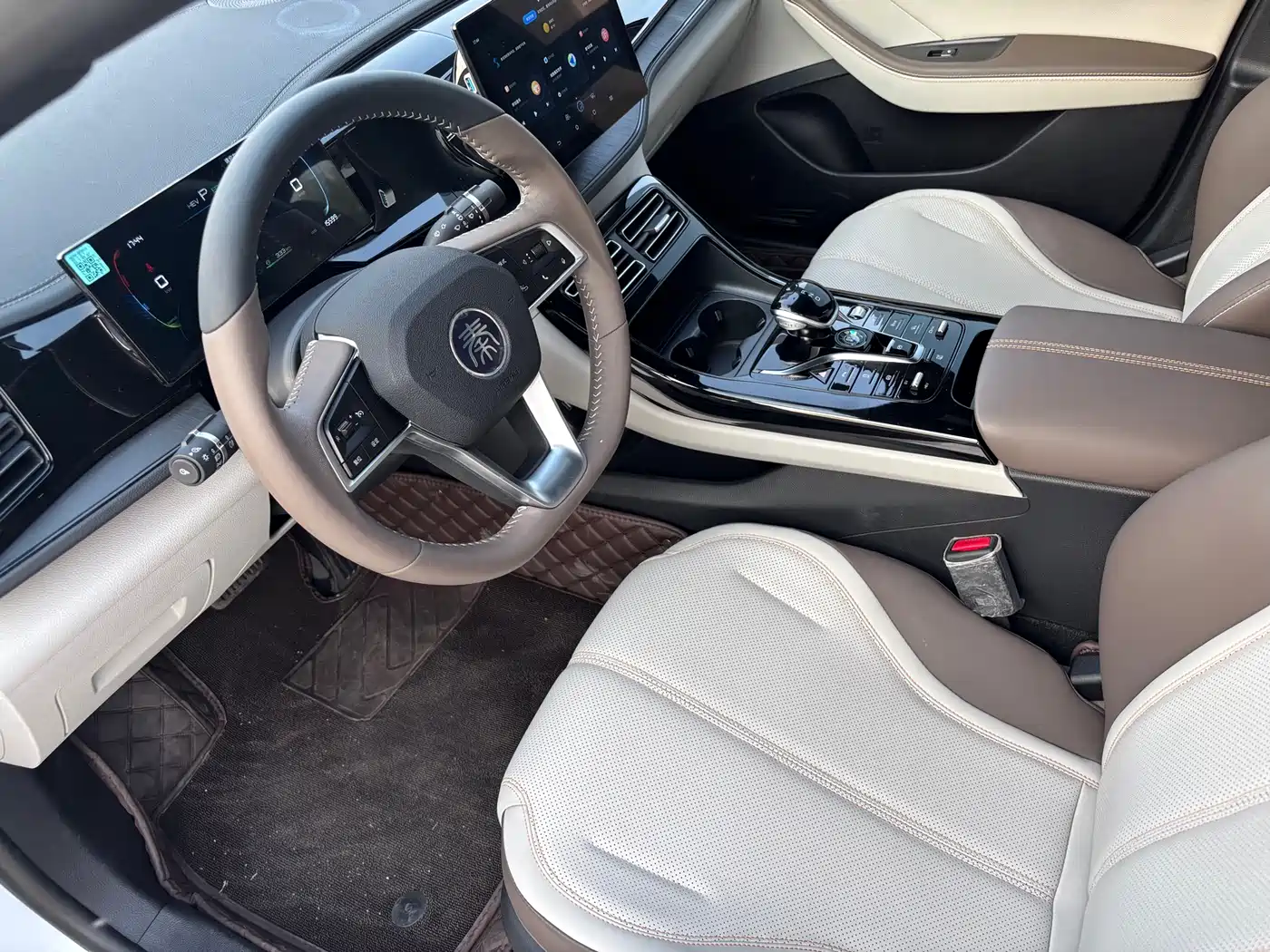 BYD Qin PLUS 2024 Glory Edition DM-i 55KM Leading фото 5