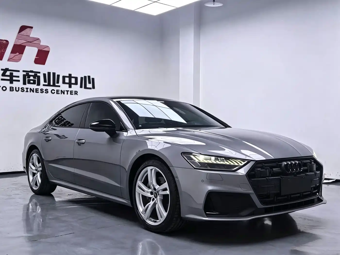 Audi A7L 2022 2022 45 TFSI quattro S-line Wind Rider