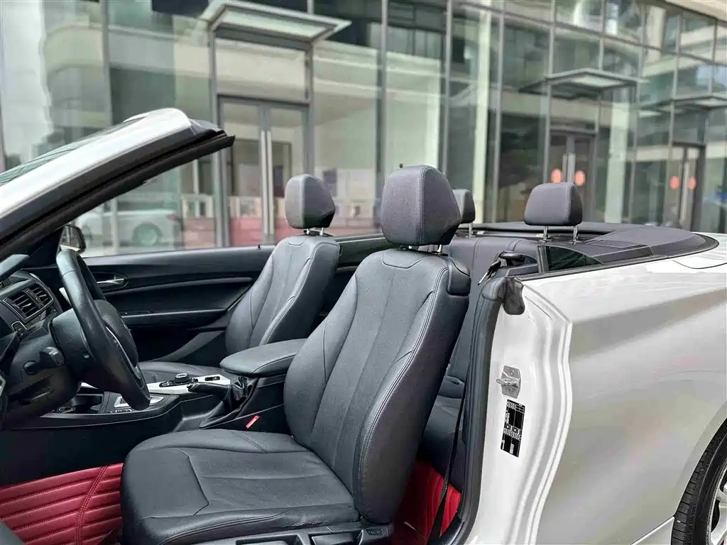 BMW 2 Series (Import) 2015 218i Convertible Coupe фото 19