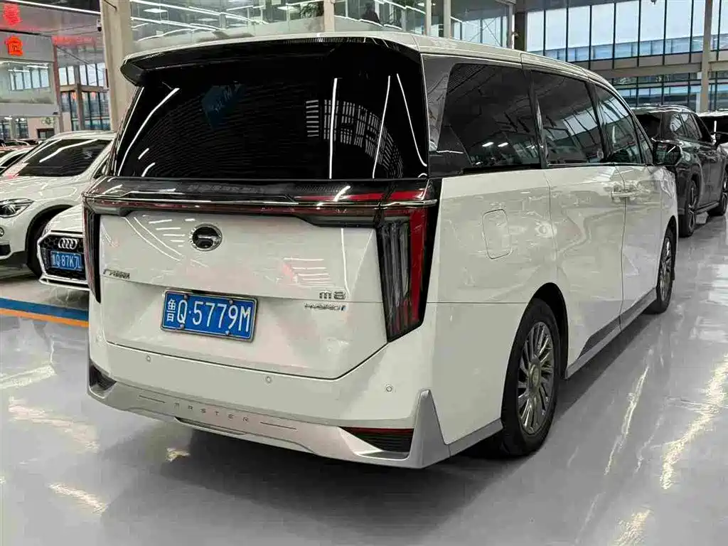 GAC Trumpchi Trumpchi M8 2023 Master Series Dual Hybrid Flagship Edition фото 9