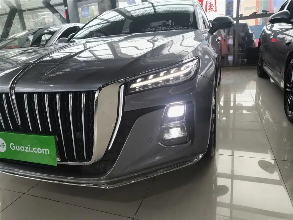 Hongqi H5 2023 2.0T Auto Smart Connect Flag Comfort фото 24