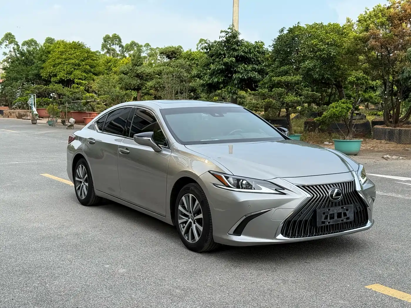 Lexus ES 2018 260 Excellence Edition China V фото 3