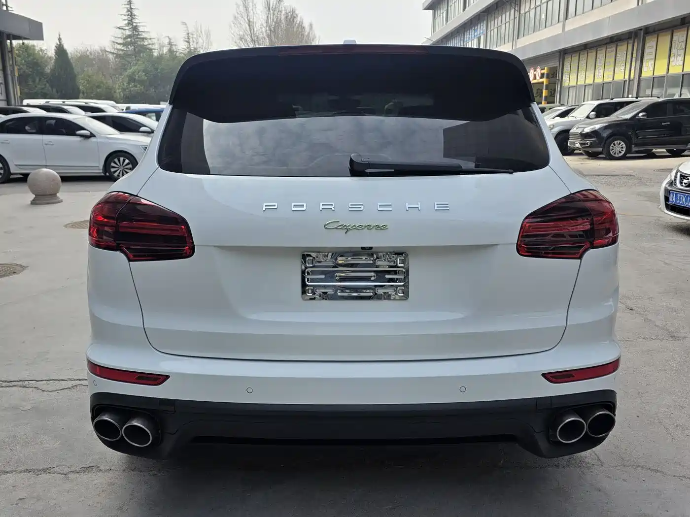 PORSCHE CAYENNE NEW ENERGY