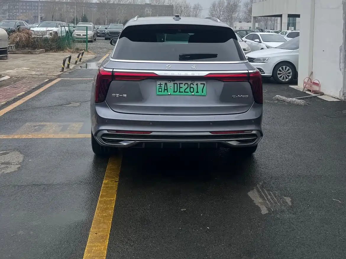 Hongqi E-HS9 2022 690km Qi Xiang Edition (6-seater) фото 4