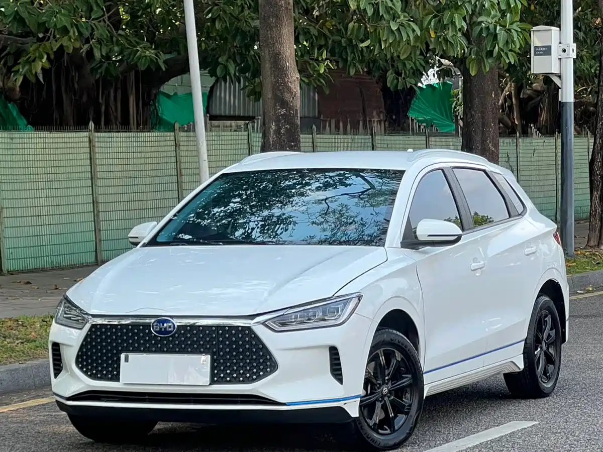 BYD e2 2020 2020 Upgraded Long Range Luxury