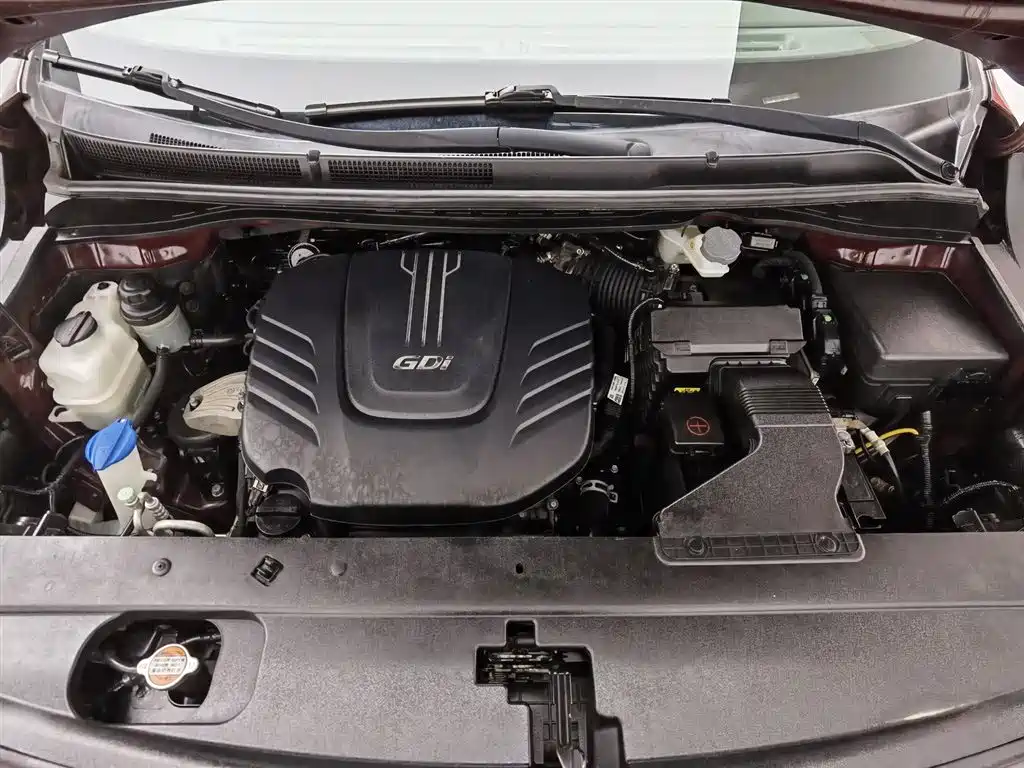 Kia Carnival (Import) 2015 3.3GDI Luxury (China V) фото 6