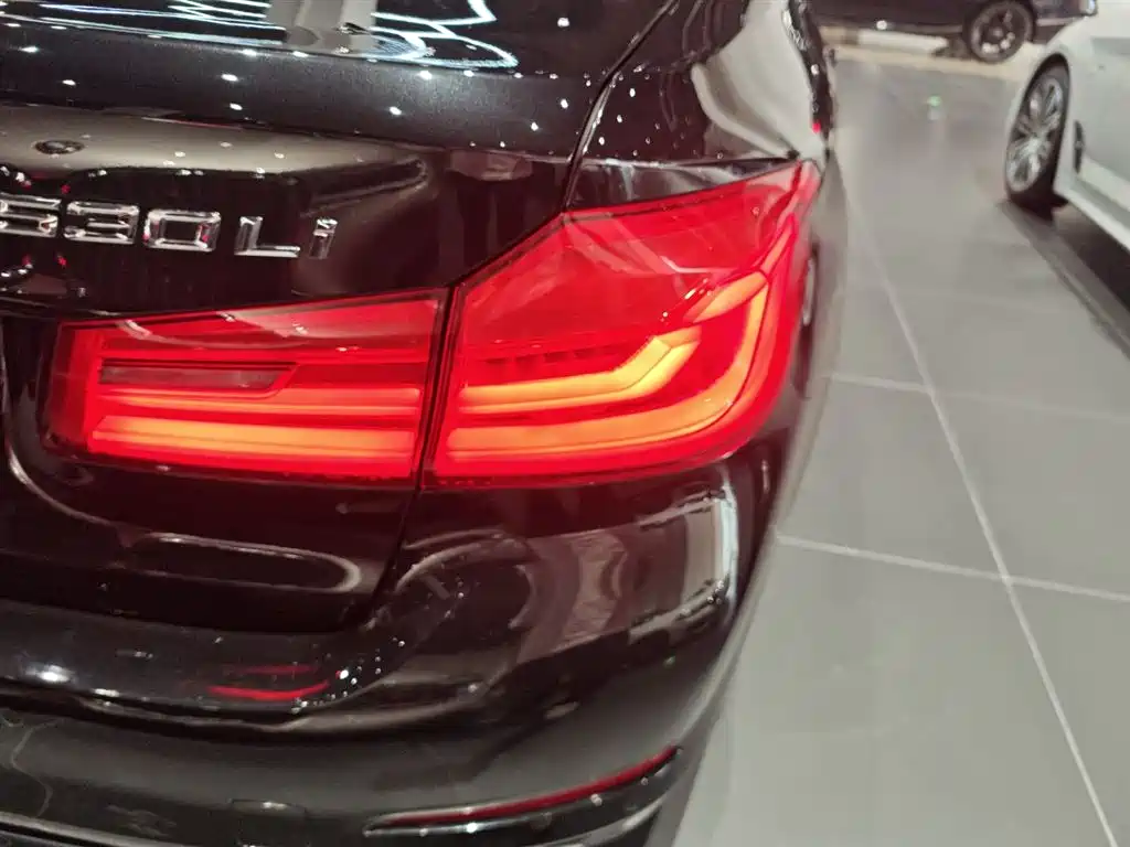 BMW 5 Series 2020 530Li Premium Luxury Package фото 8