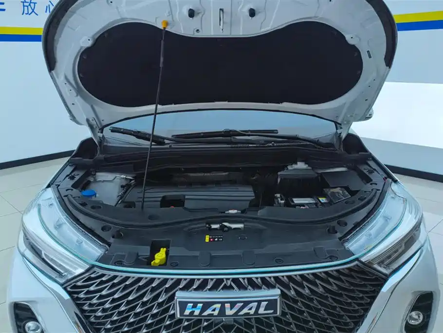 Haval M6 2023 PLUS 1.5T DCT Luxury Smart Connect фото 10