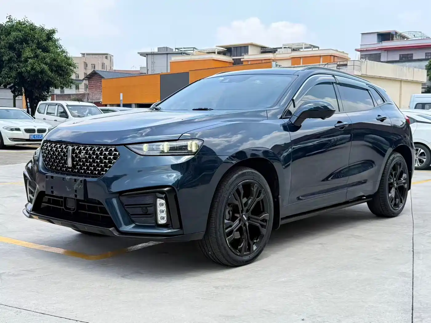 2021 WEY VV7