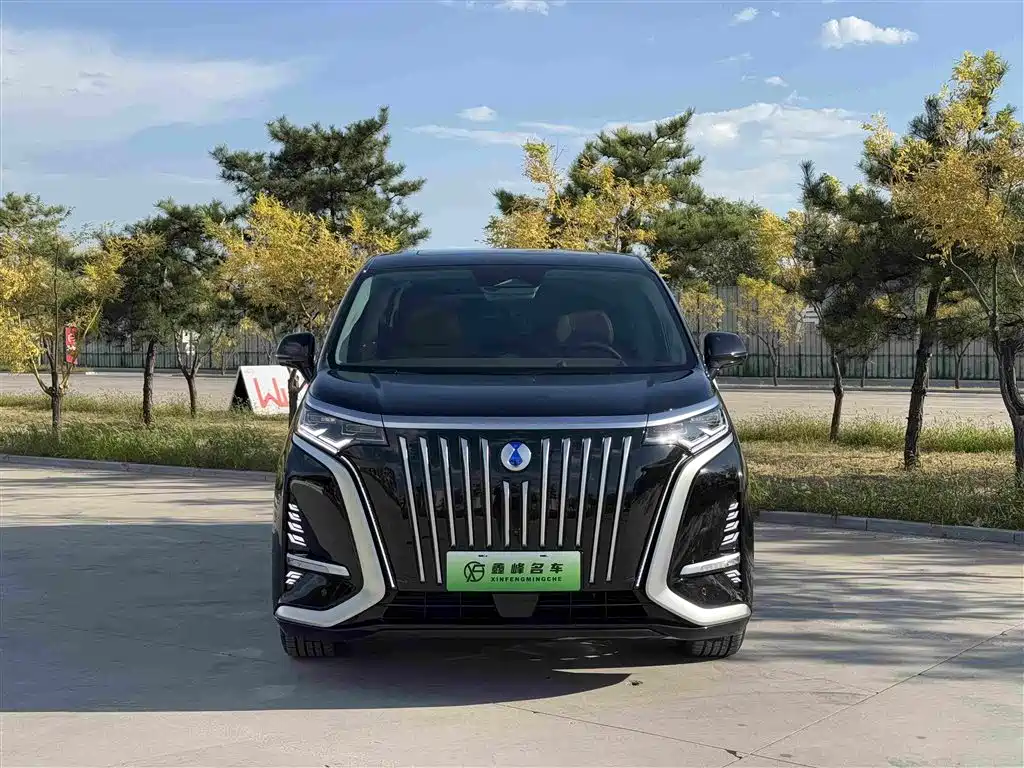 Denza D9 2023 2022 EV 600 4WD Prestige Model