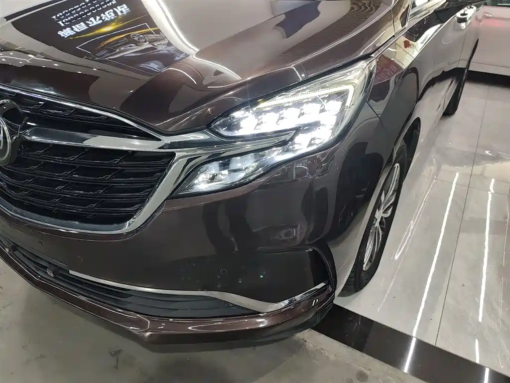 Buick GL8 2021 ES Landlord 653T Premium фото 24