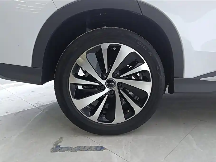 BYD SONGJIANG NEW ENERGY