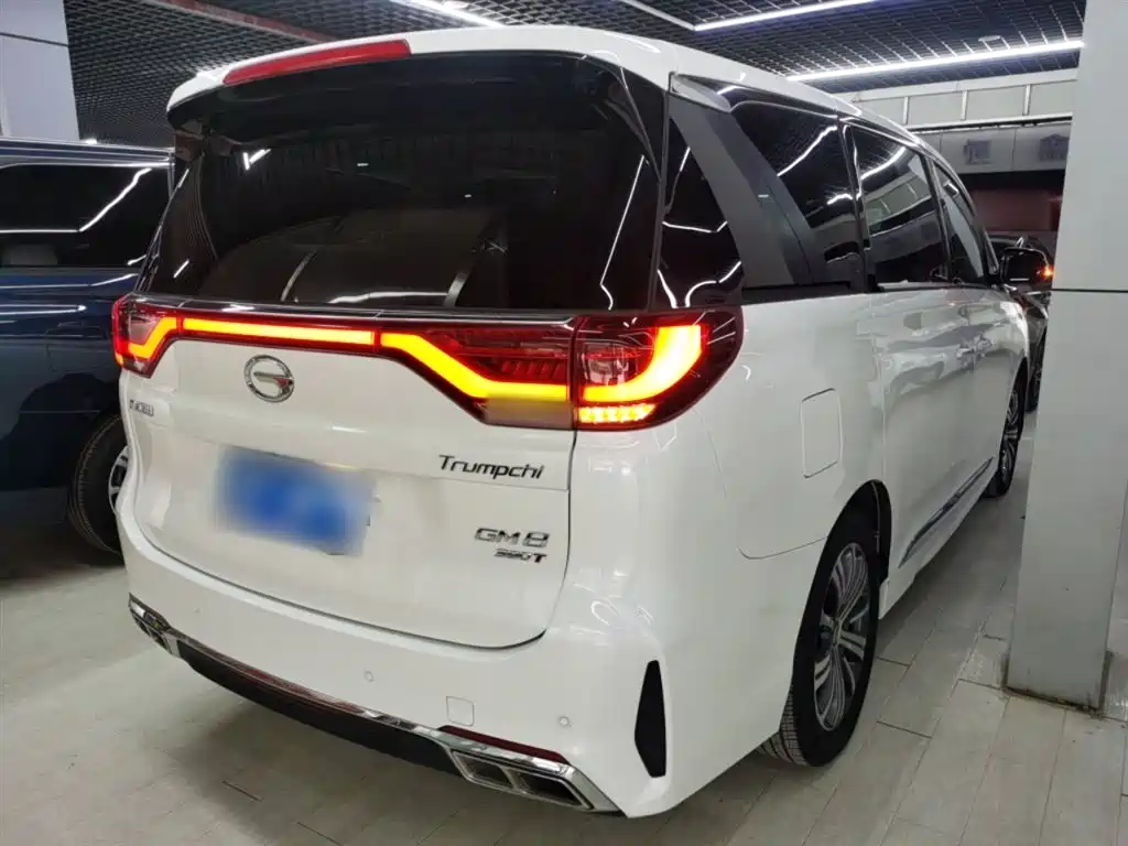 GAC Trumpchi Trumpchi M8 2020 Pilot 390T Prestige Edition фото 23