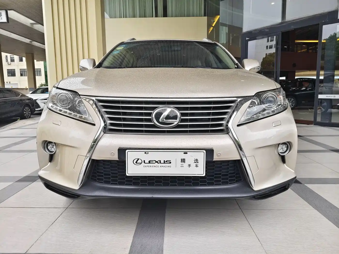 Lexus RX Classic 2014 2013 270 Elite