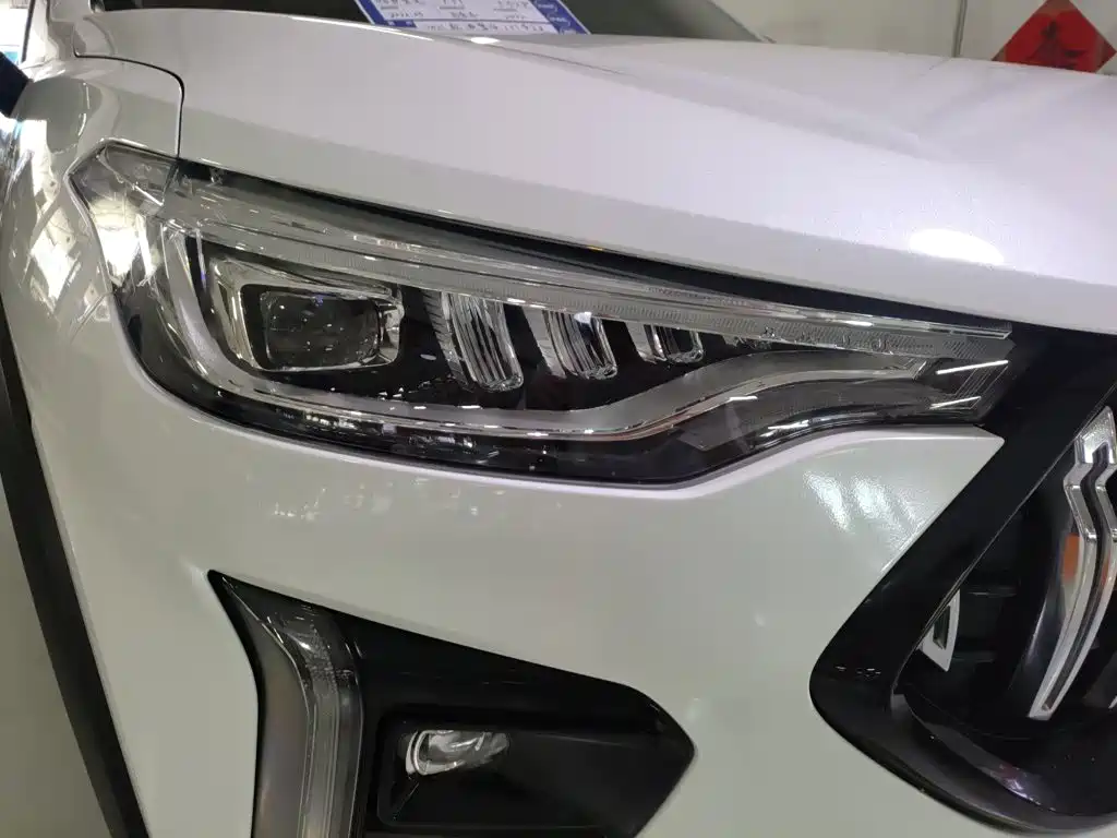 Haval Chitu 2022 2021 Turbo Edition 1.5T Golden Rabbit