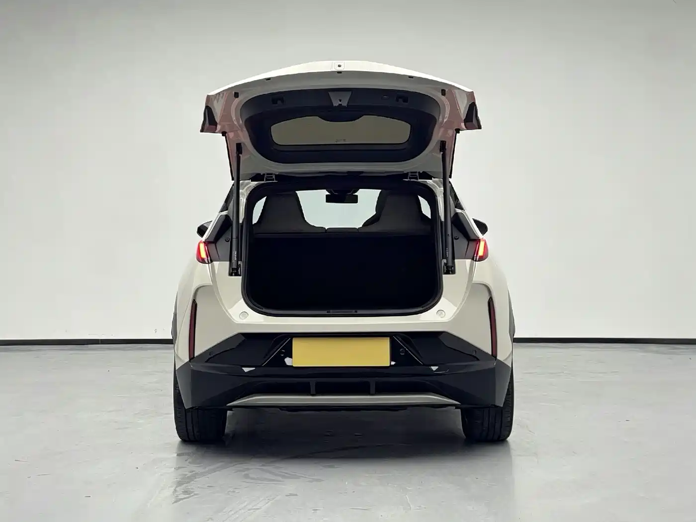 ZEEKR X 2023 2023 RWD YOU Edition 4-seater