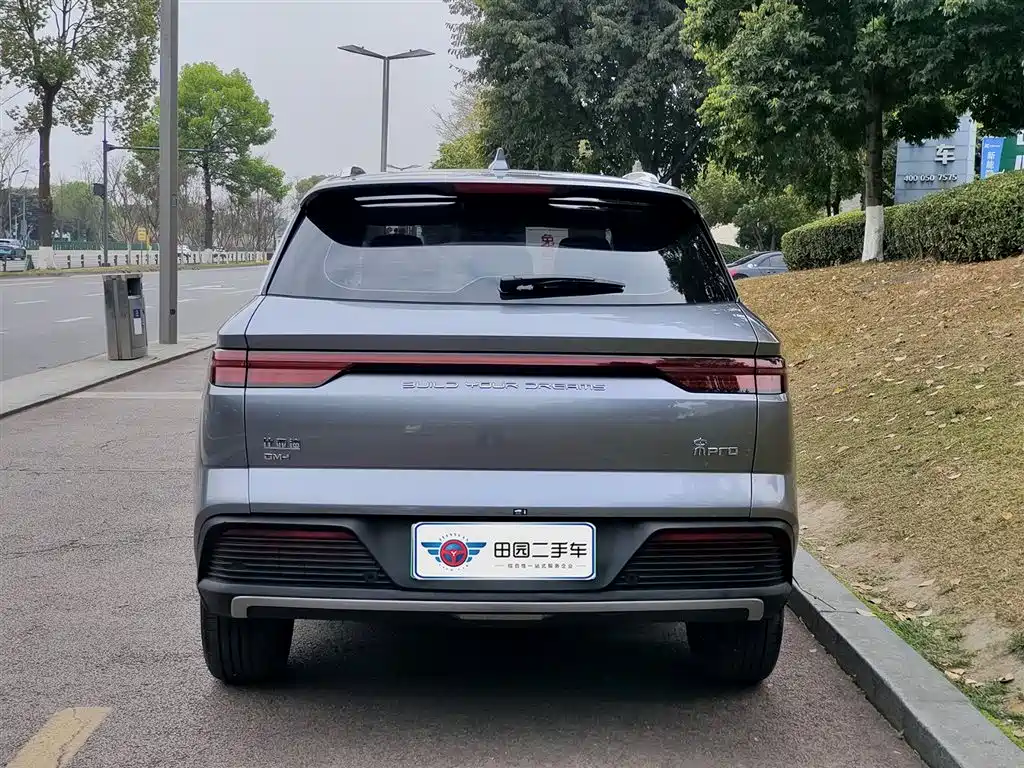 BYD SONGJIANG NEW ENERGY