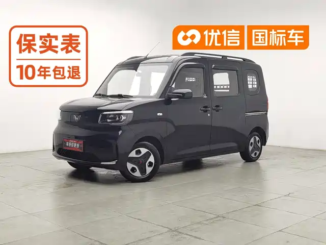 Wuling Motors Wuling Zhiguang NEV 2025 Model Comfort — фото 1