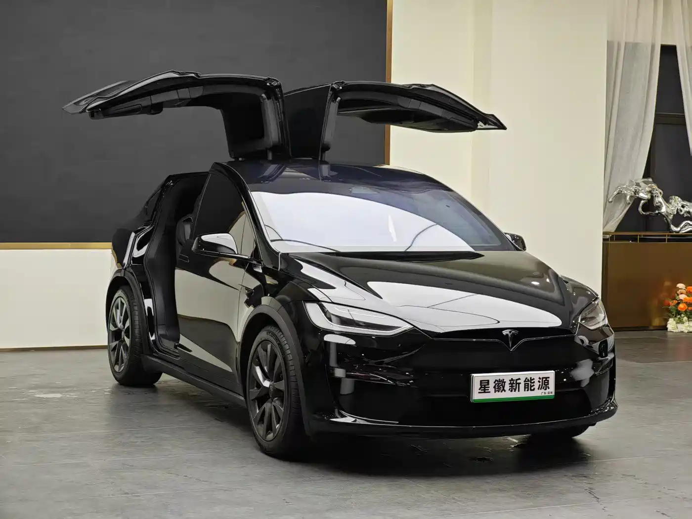 Tesla Model X 2023 Dual Motor All-Wheel Drive Edition фото 3
