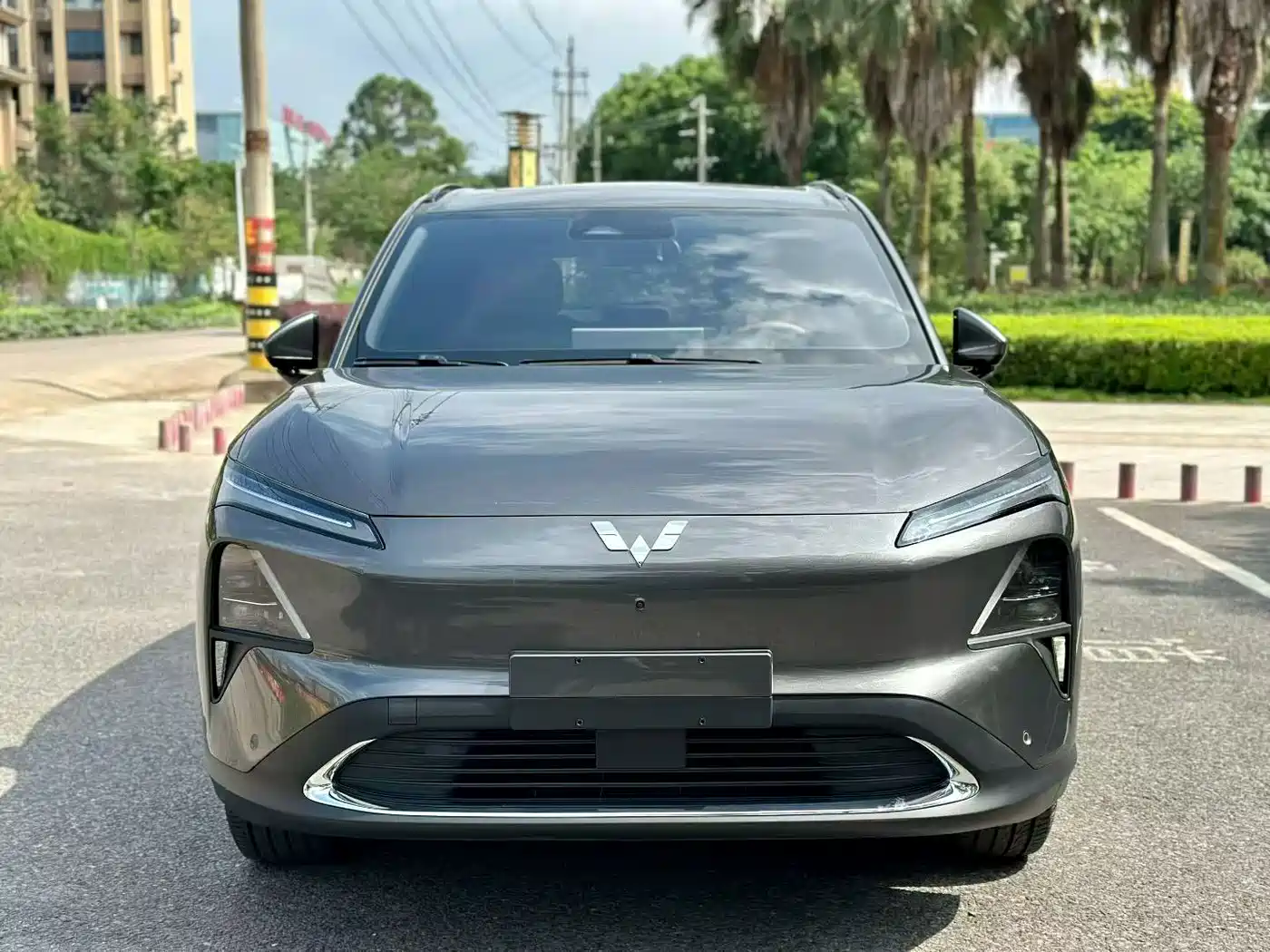 Wuling Motors Wuling Xingguang S 2024 2024 130km Flagship Model