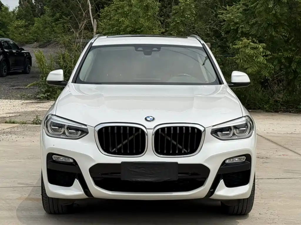 BMW X3 2018 2018 xDrive25i M Sport Package China V