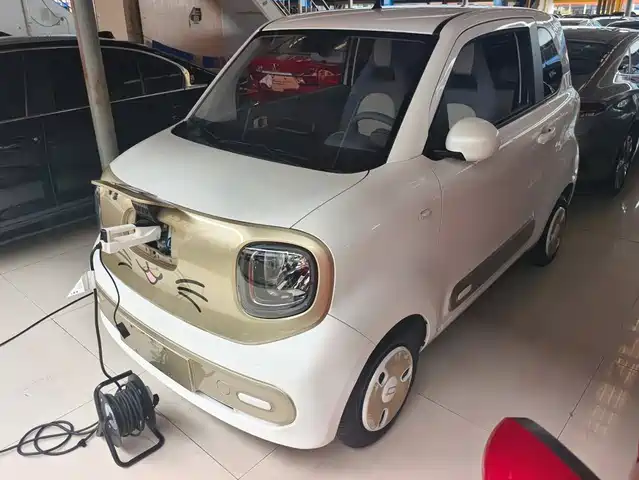 Besturn Bestune Pony 2024