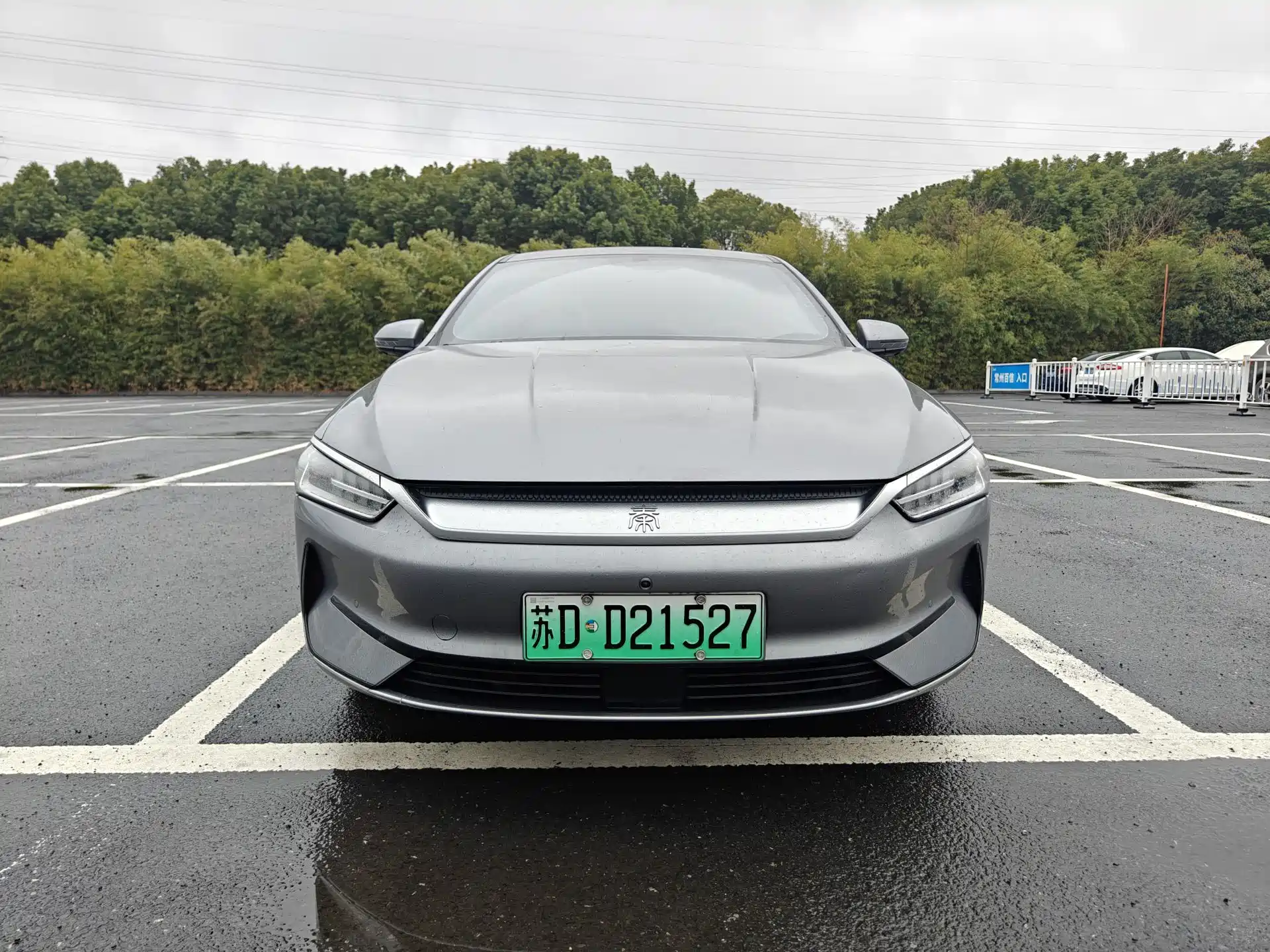 Фото 2 - BYD Qin PLUS