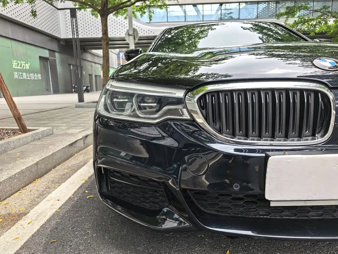 BMW 5 Series 2020 530Li Leading M Sport Package фото 3