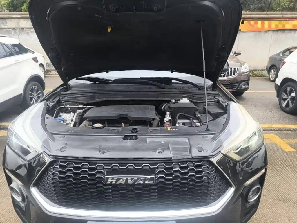 Haval H6 Coupe 2019 2018 Red Label 1.5T Auto 2WD Luxury Edition