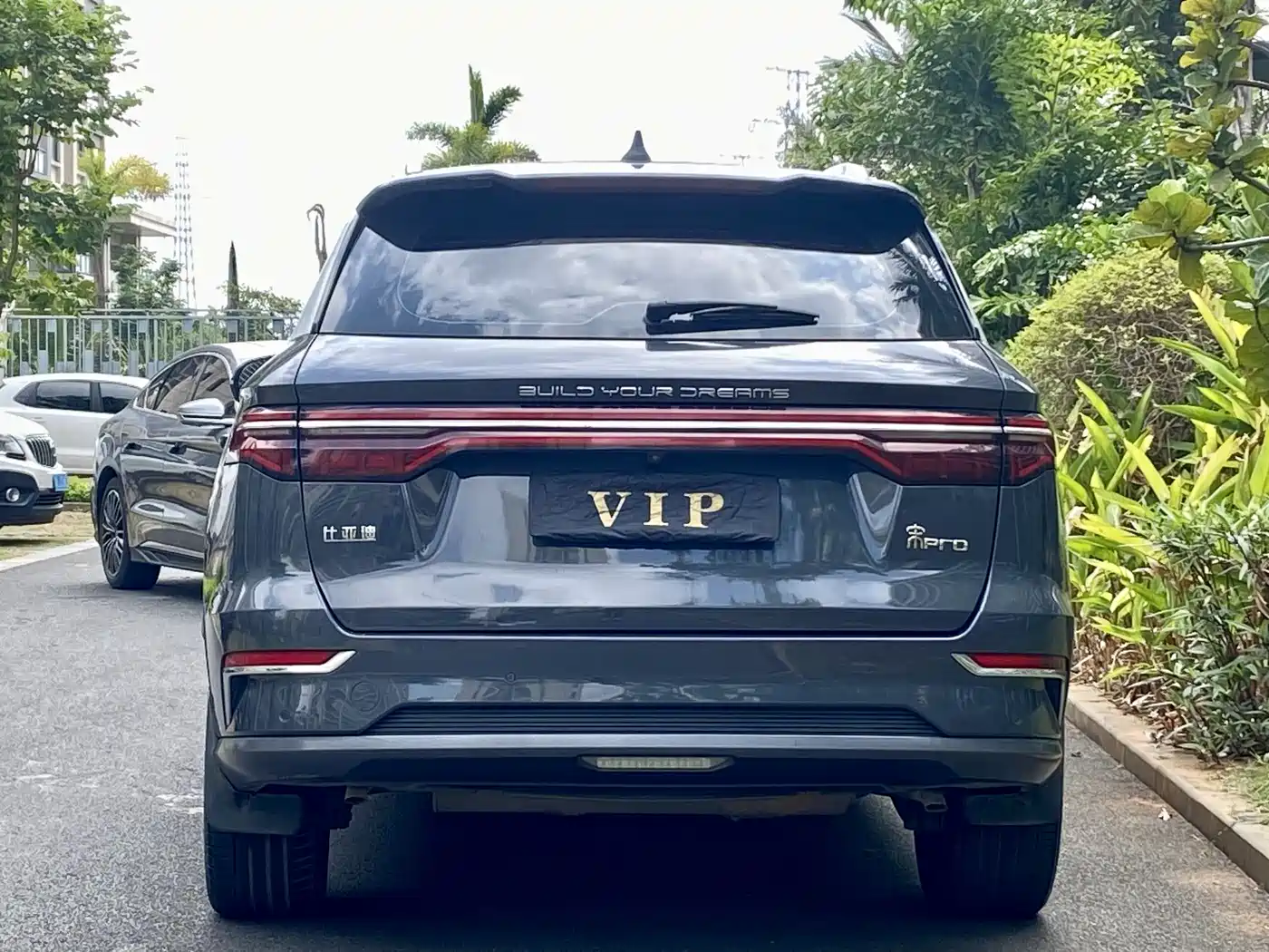 BYD SONGJIANG NEW ENERGY