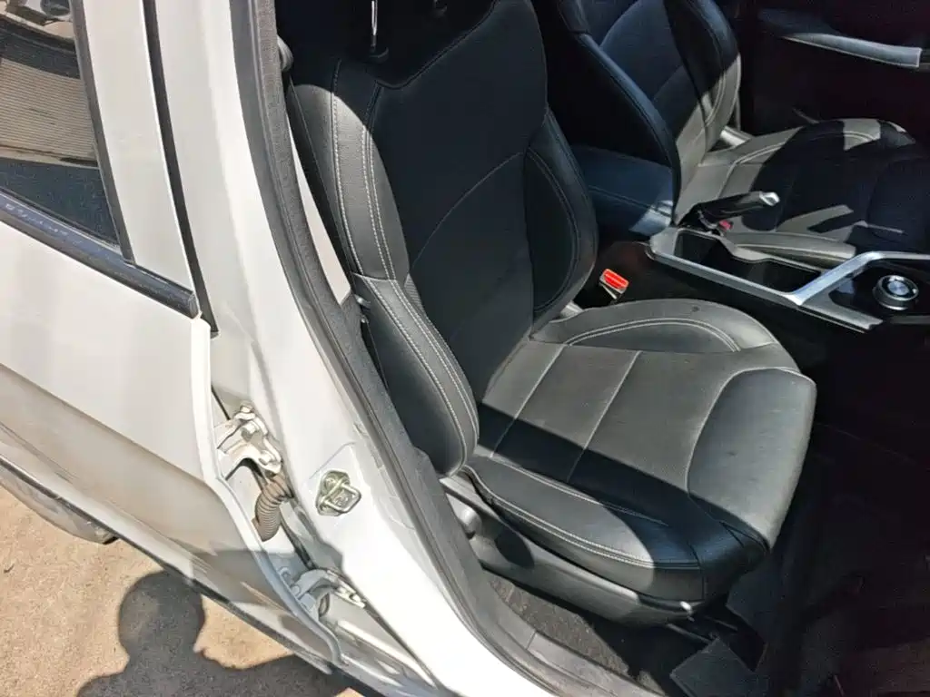Geely Geometry EX3 Kung Fu Bull 2022 2021 Strong Bull