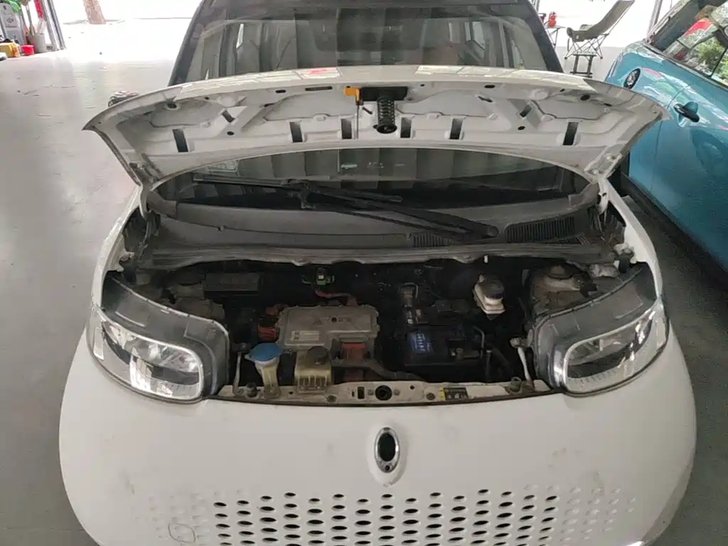 Ora White Cat 2021 2020 360km Luxury Model