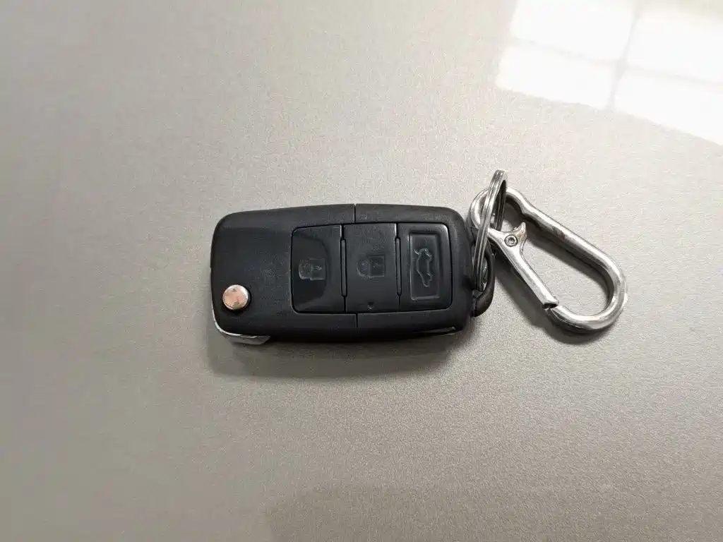 Dongfeng Fengxing Fengxing SX6 2018 2018 1.6L CVT Luxury