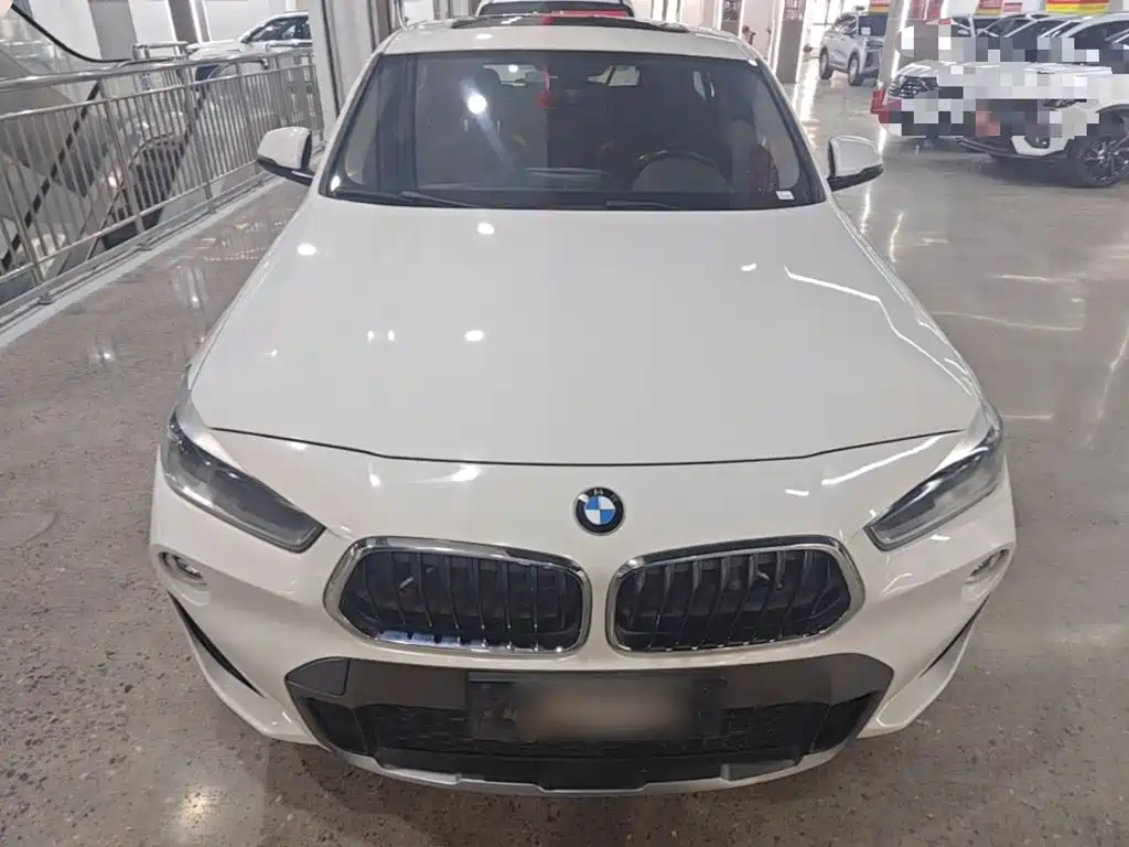 BMW X2 (Import) 2019 2019 sDrive20i M Off-Road Package China VI