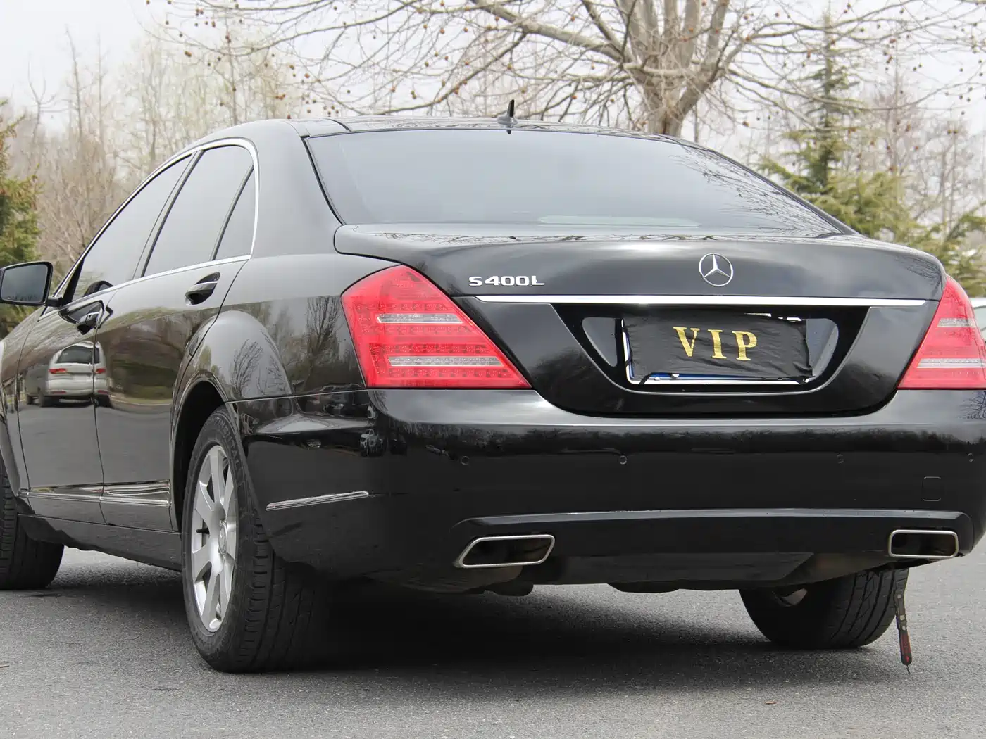 Mercedes-Benz S-Class 2010 S 300 L Premium фото 6