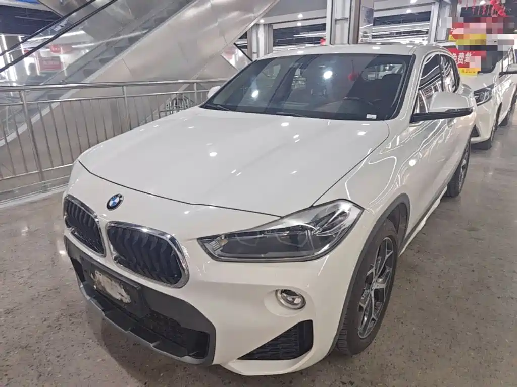 BMW X2 (Import) 2019 2019 sDrive20i M Off-Road Package China VI