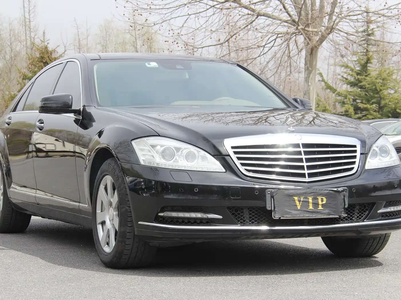 Mercedes-Benz S-Class 2010 S 300 L Premium фото 3