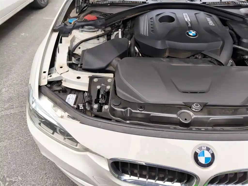 BMW 3 Series 2017 320Li M Sport фото 21