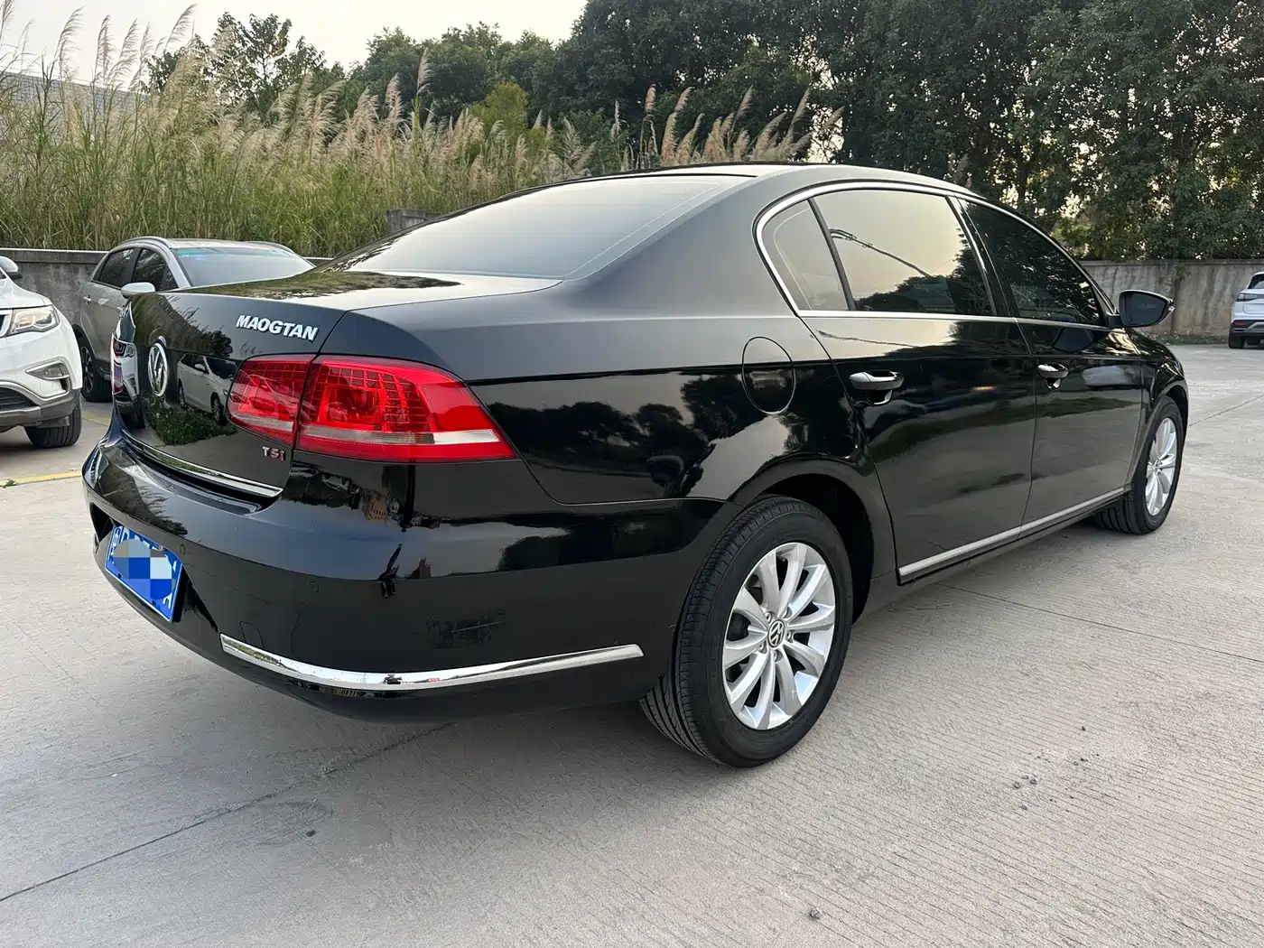 Volkswagen Magotan 2015 1.8TSI Leading фото 7