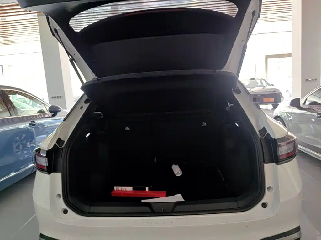 صورة 19 - Volkswagen ID.4 X