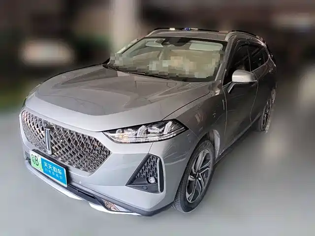  WEY Macchiato DHT-PHEV 2021 1.5L Special Tuned Edition