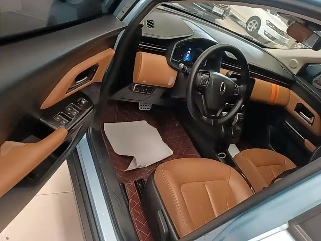 Ora iQ 2021 2019 Intelligent Premium