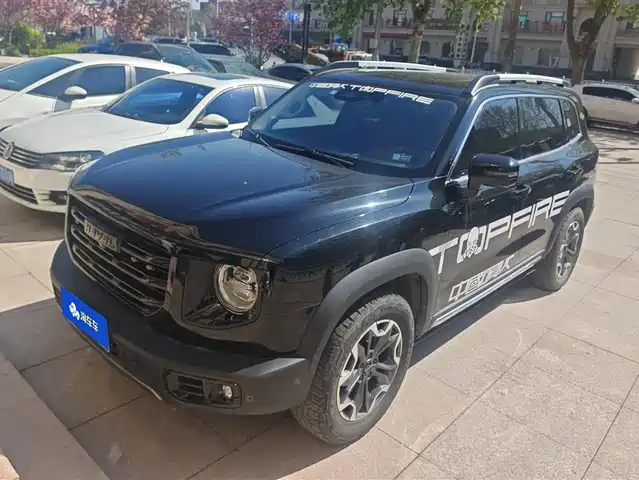 HAVAL BIG DOG
