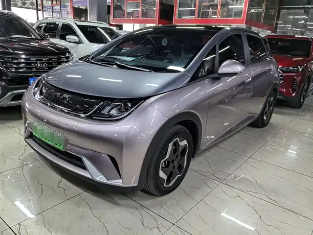 BYD DOLPHIN