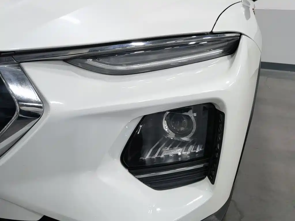 Фото 7 - Haima 8S