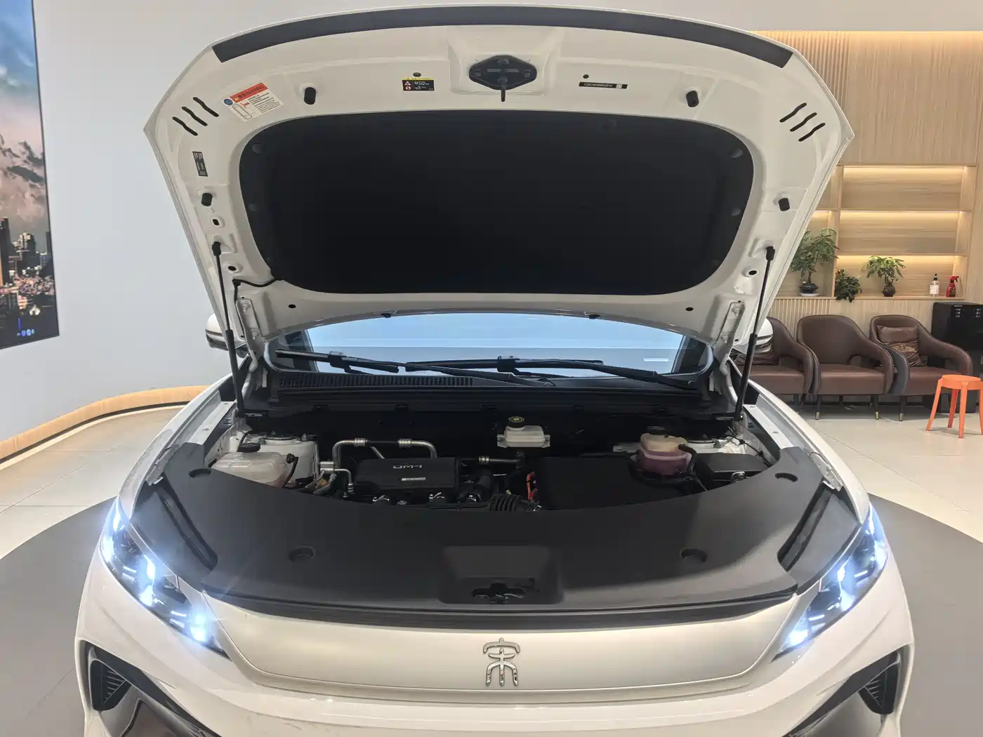 BYD Song Pro New Energy 2025 2nd Generation Smart Drive Edition DM-i 75KM Surpassing Type фото 24