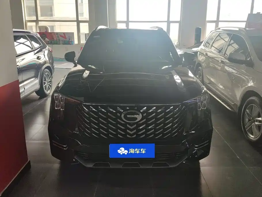 GAC Trumpchi Trumpchi GS8 2024 2025 Pilot Series 2.0TGDI 2WD Luxury Edition 5-seater