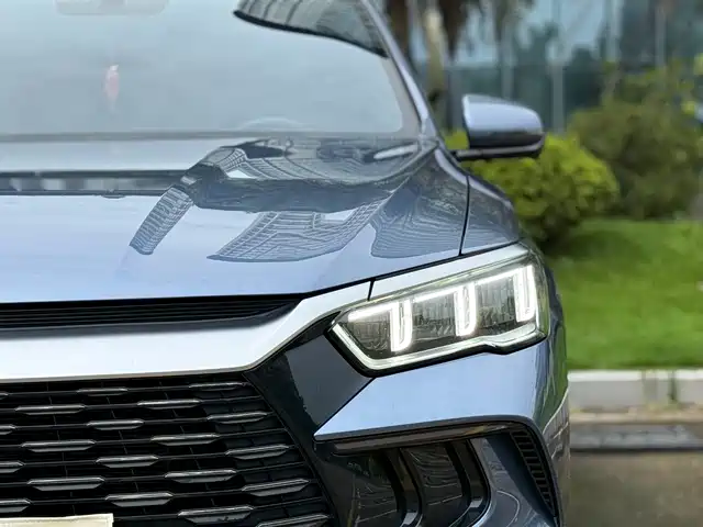 BYD Song Pro New Energy 2024 Glory Edition DM-i 71KM Leading — фото 4