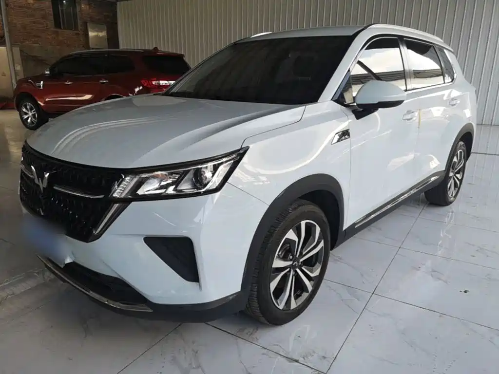 Wuling Motors Wuling Xingchen 2023 2022 2.0L DHT Electric Power Edition