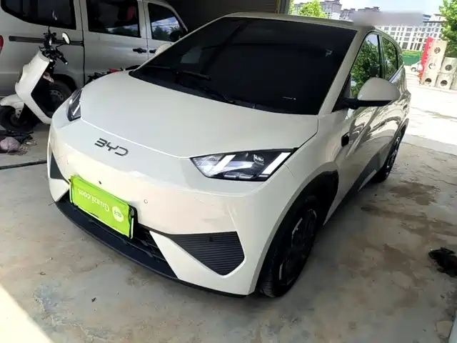 BYD Seagull 2025